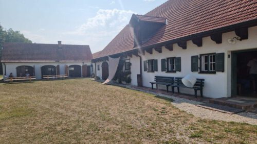 Tho Hirsch 26-08-02 at 14.26.31 (3)